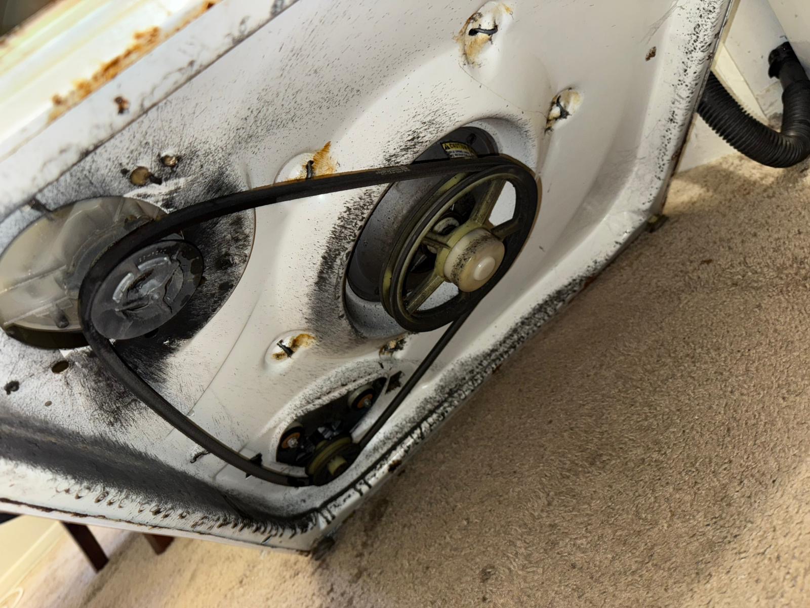 Dryer drive belt and pulley