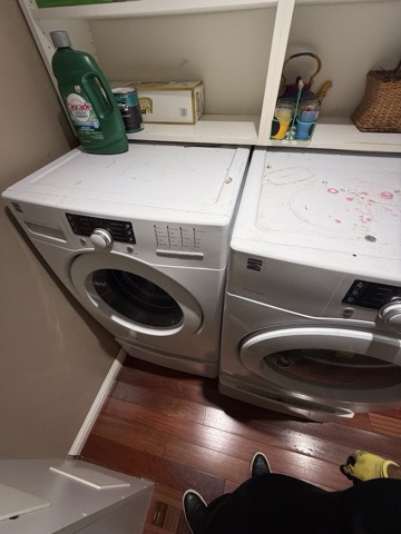 Front-load washer in the laundry room